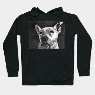 PURDY GIRL Hoodie